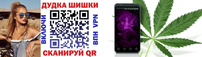 Купить  Гаврилов-Ям  Каннабис Amnesia 